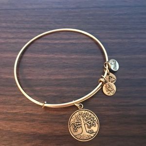Alex and Ani Tree of Life